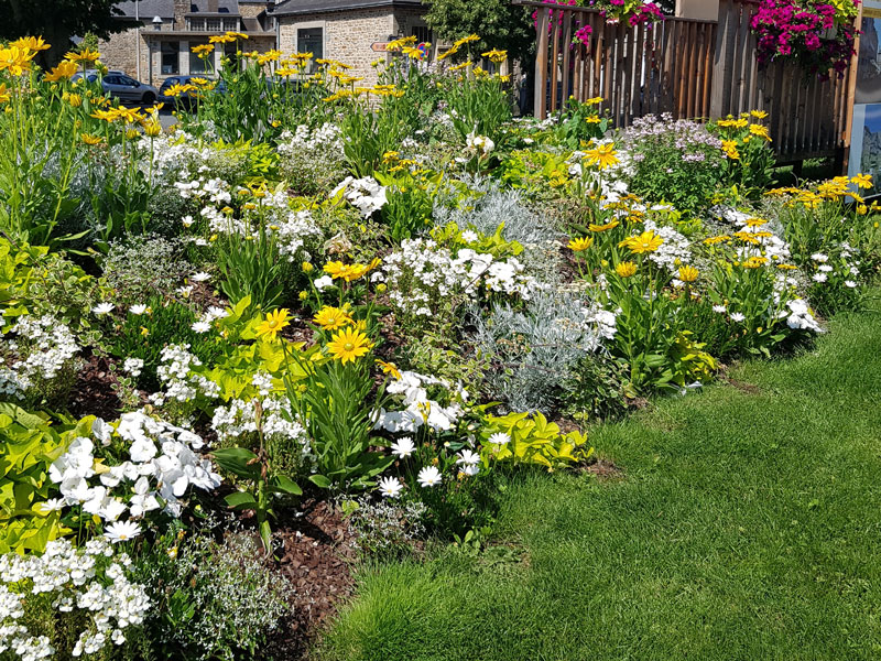 Réalisation annuelle 2