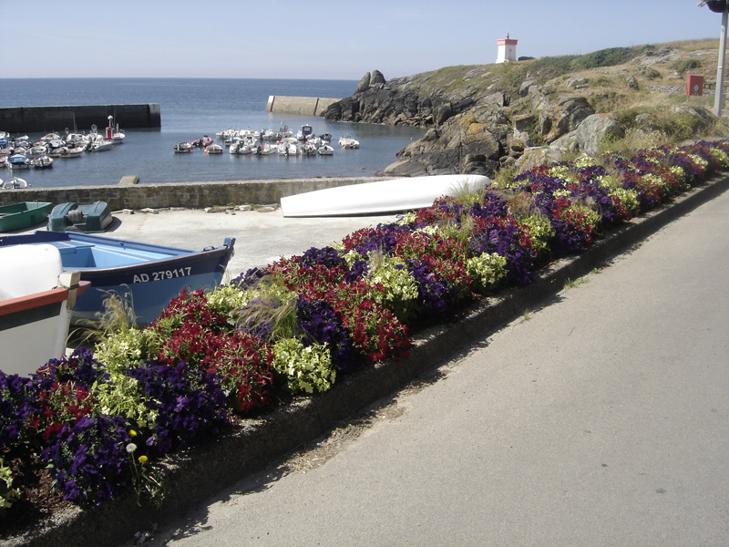 Réalisation annuelle 4